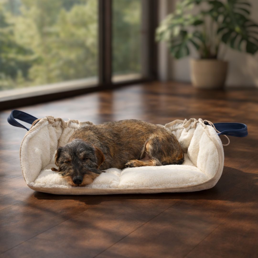 Hundekissen fr kleine Hunde & Dackel  weich, bequem & langlebig |  Leopold's Finest for dogs