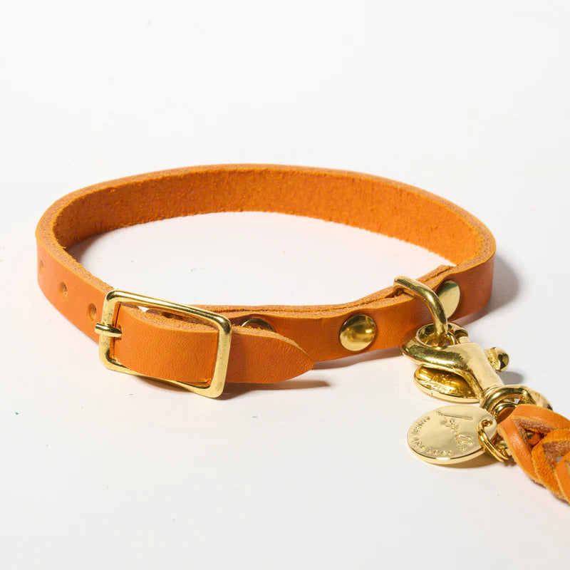 Hundehalsband Fettleder     - von Leopold's kaufen bei leopolds-finest [Orange-Gold]