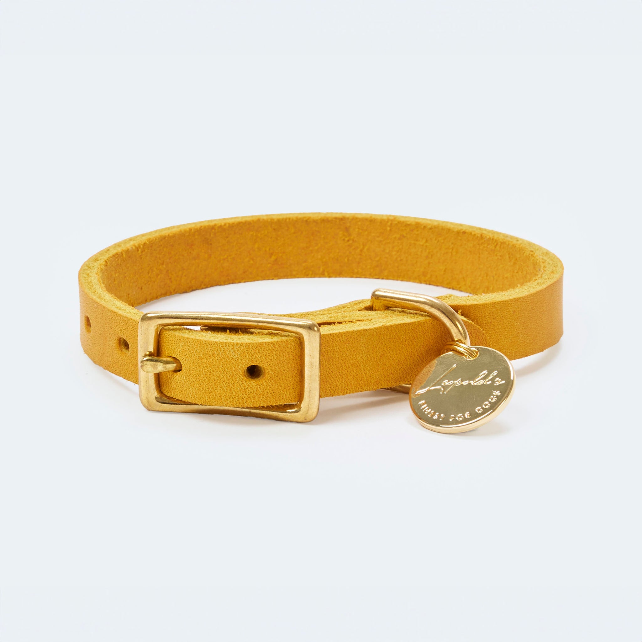 Hundehalsband Fettleder Gelb-Gold 22-28cm  - von Leopold's kaufen bei leopolds-finest [Gelb-Gold]