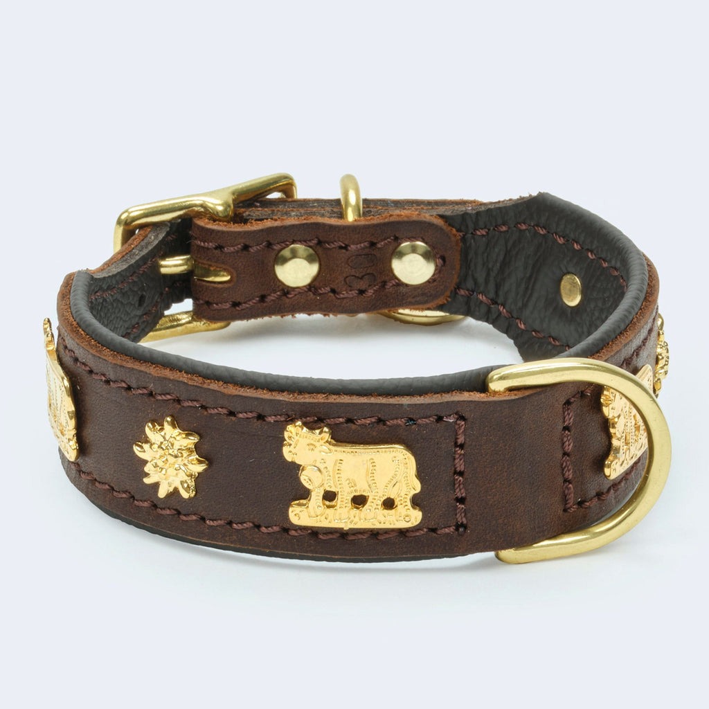 Hundehalsband Leder dunkelbraun mit goldenen Kuh-Beschlägen