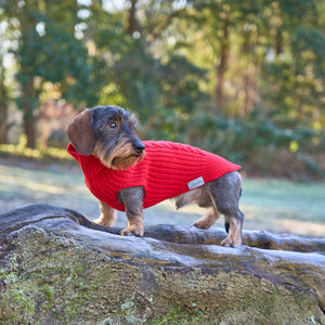 Hundepullover für Dackel     - von Leopold's kaufen bei leopolds-finest