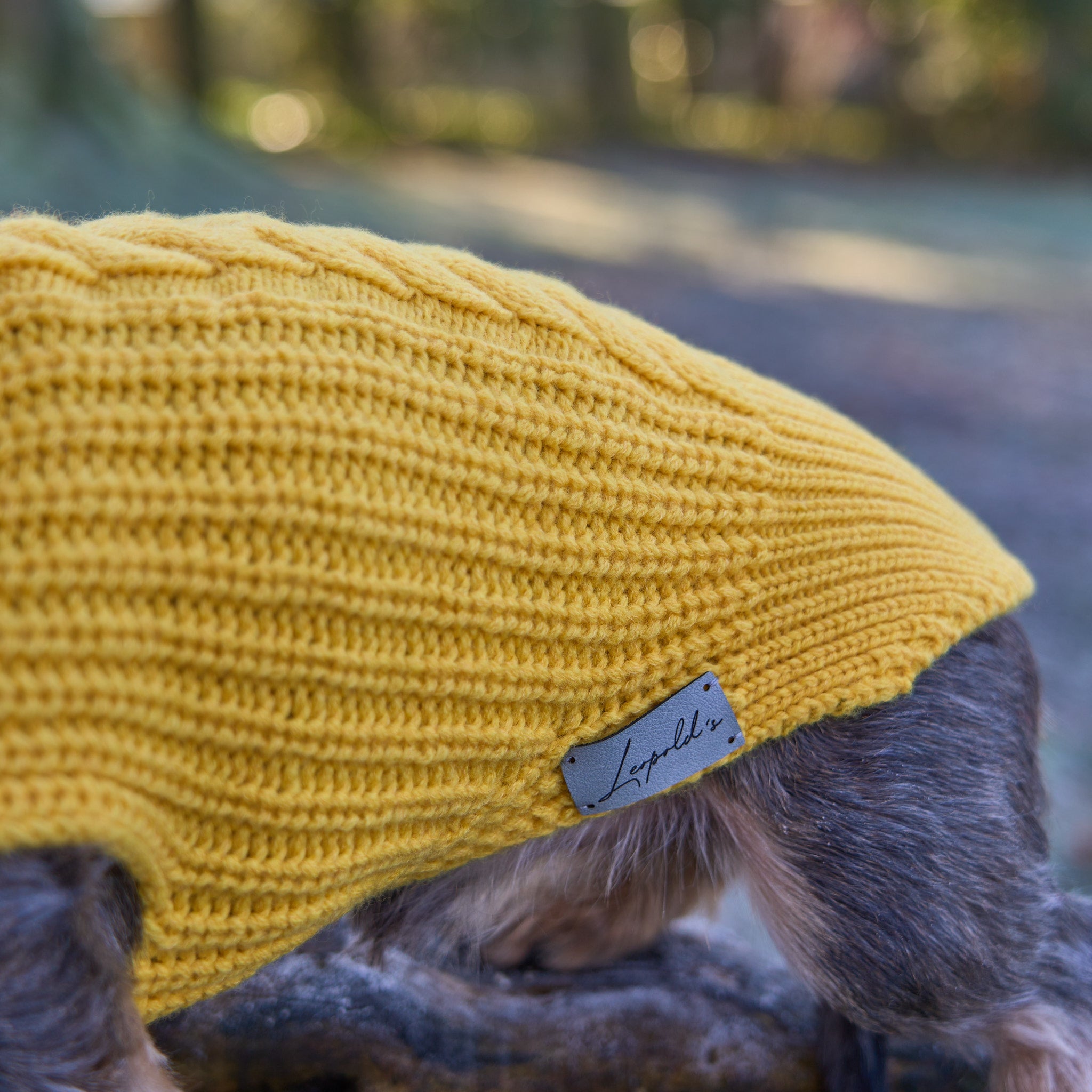 Hundepullover für Dackel     - von Leopold's kaufen bei leopolds-finest