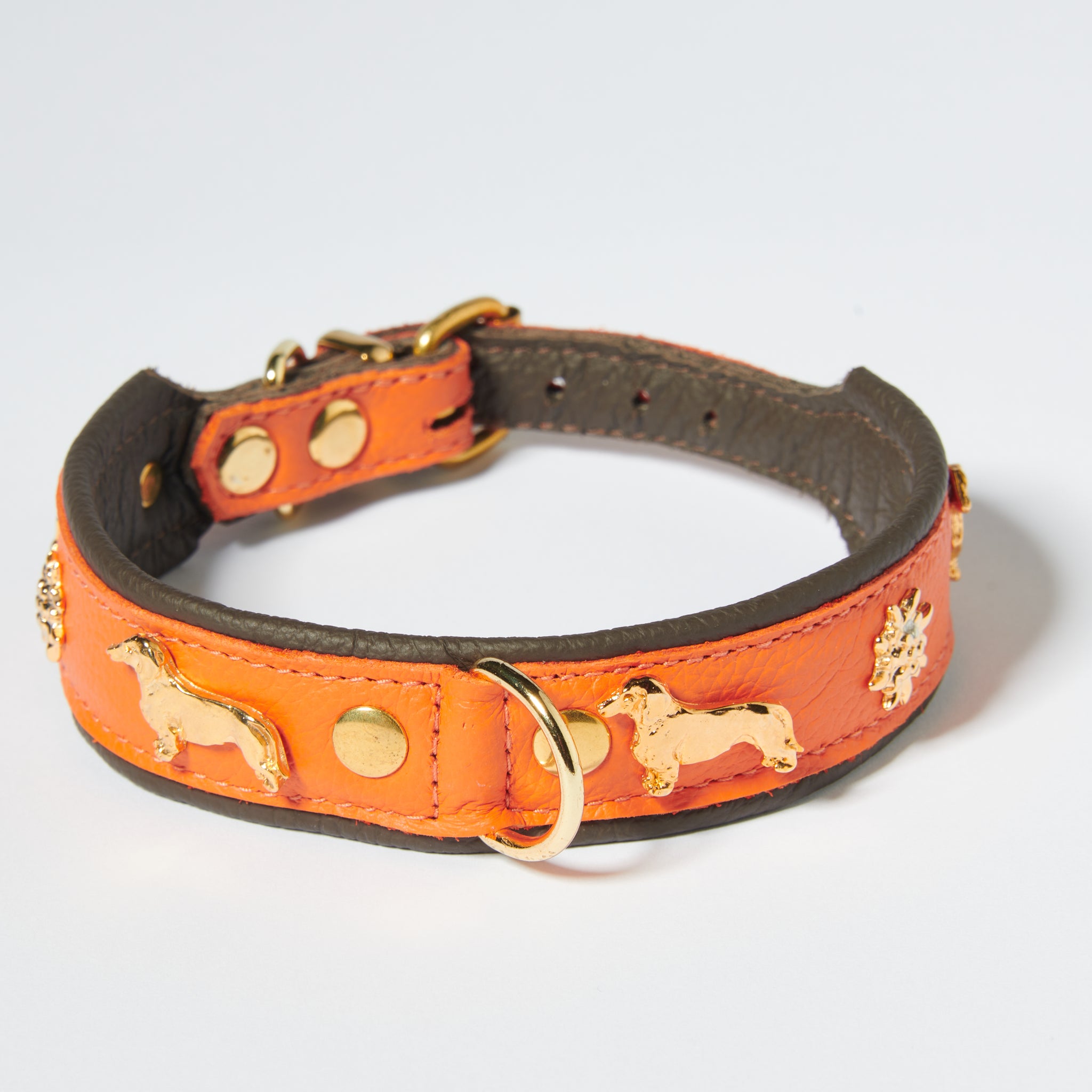 Hundehalsband Dackel     - von Leopold's kaufen bei leopolds-finest