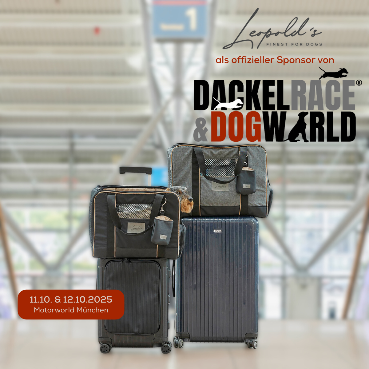 DackelRace & DogWorld in München 2025: Leopold’s Finest als offizieller Sponsor