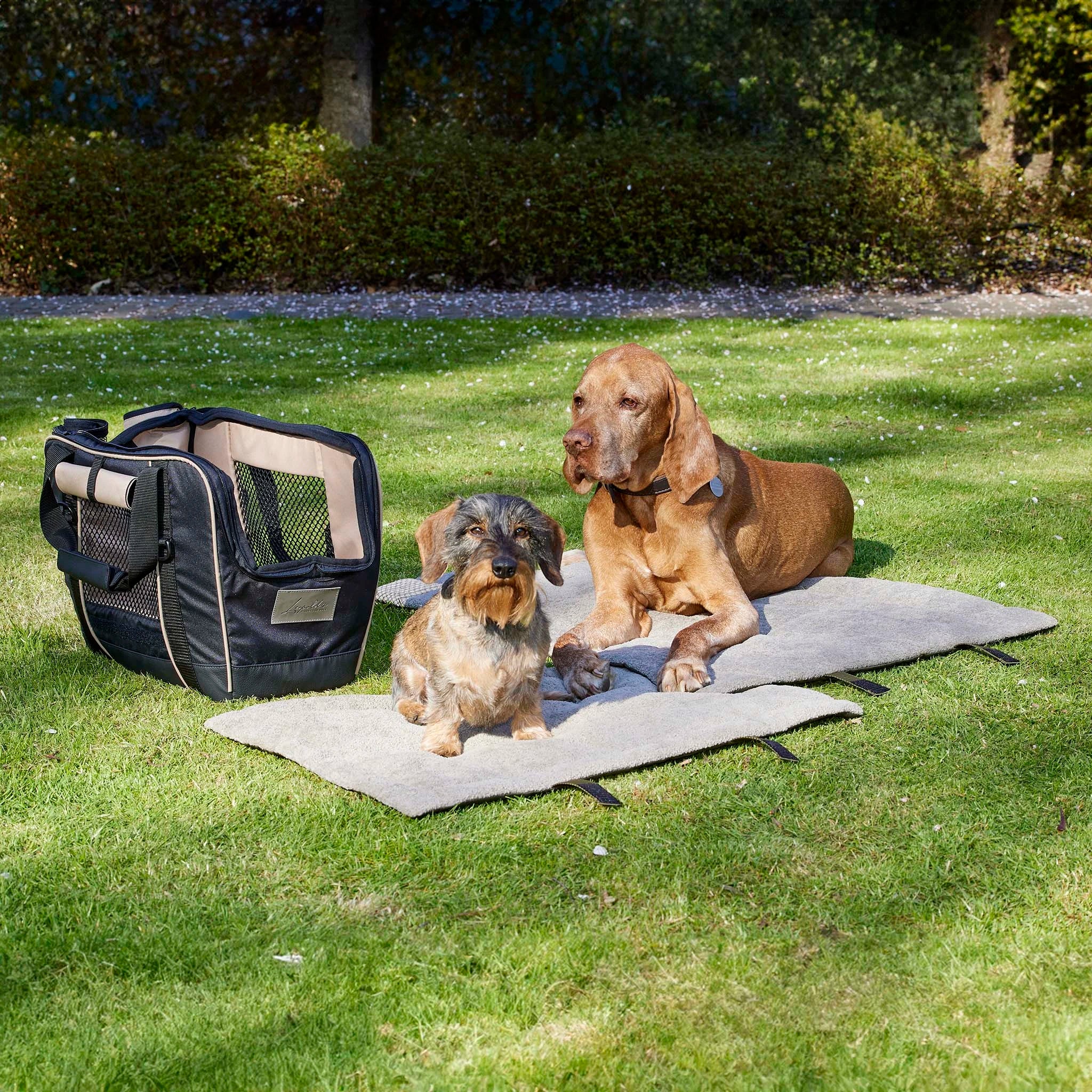 Camping-Zubehör für Hunde