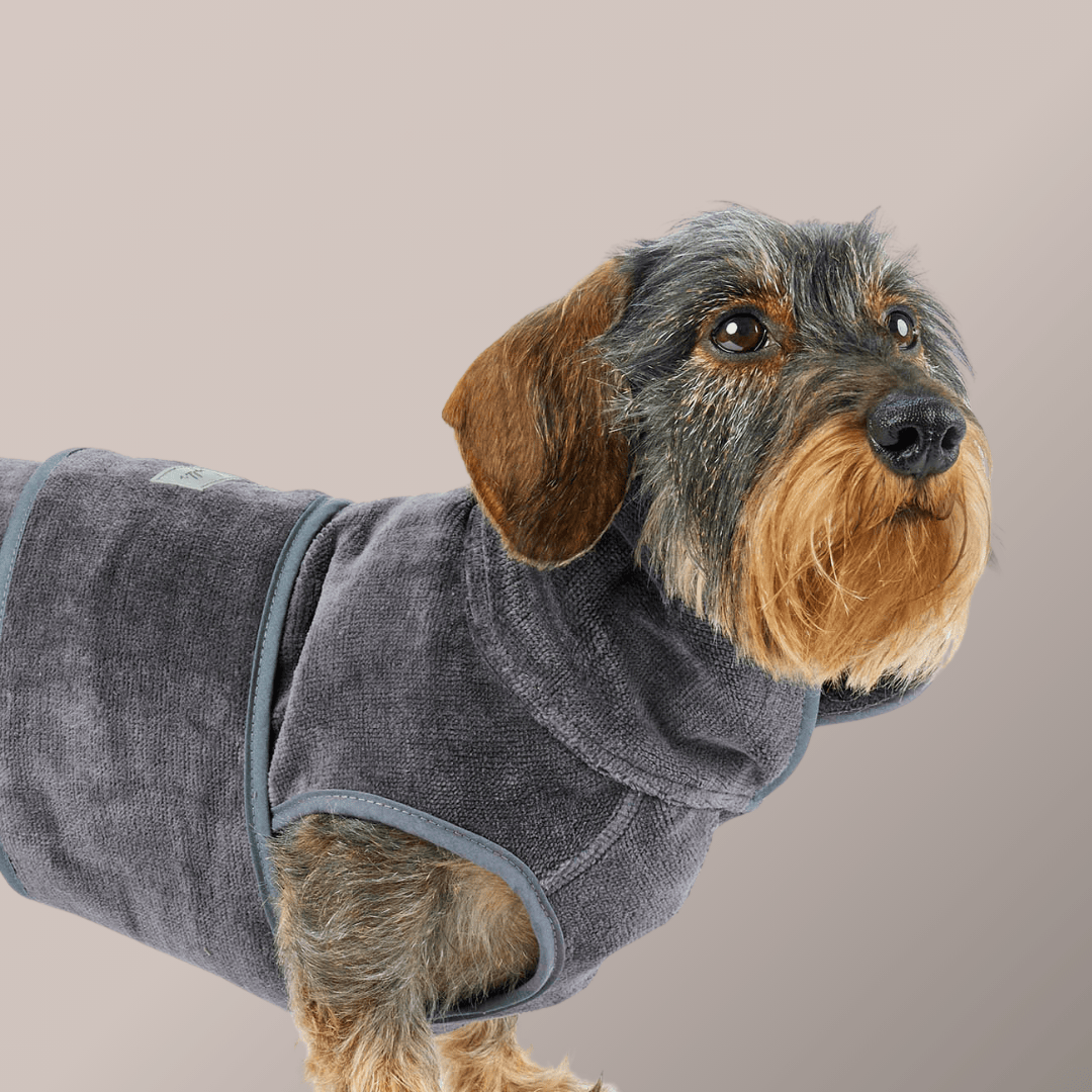 Hund in Hundebademantel