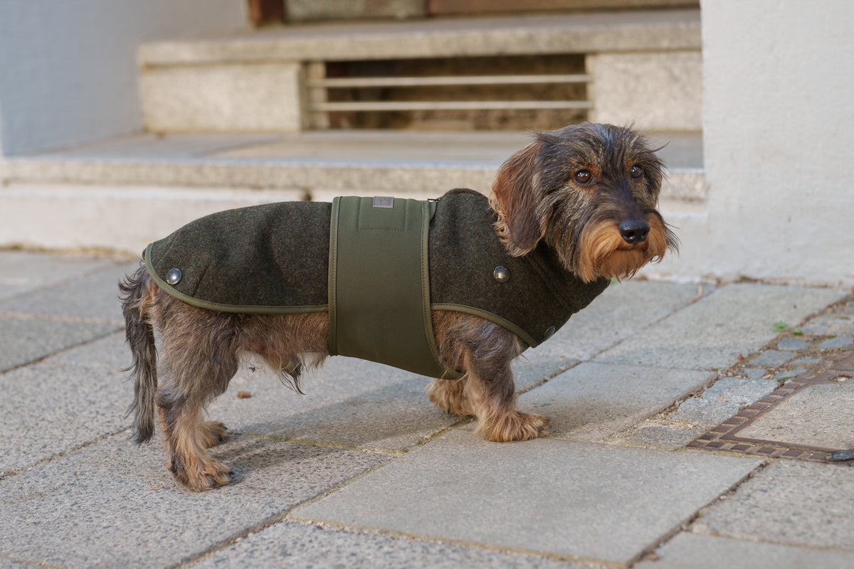 Hundewintermäntel