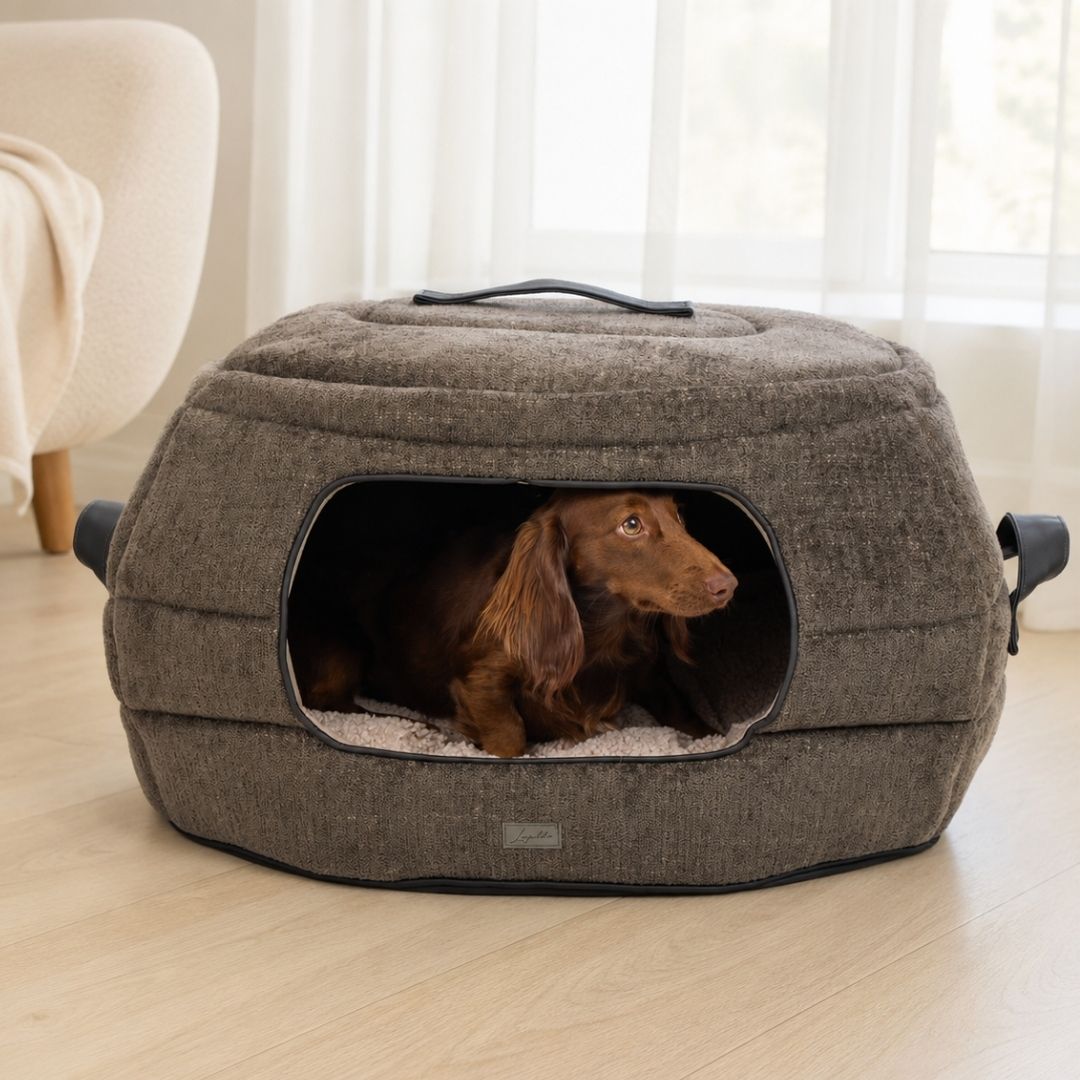 Leopold s Leopold s Finest For Dogs leopold-s-leopold-s-finest-for-dogs