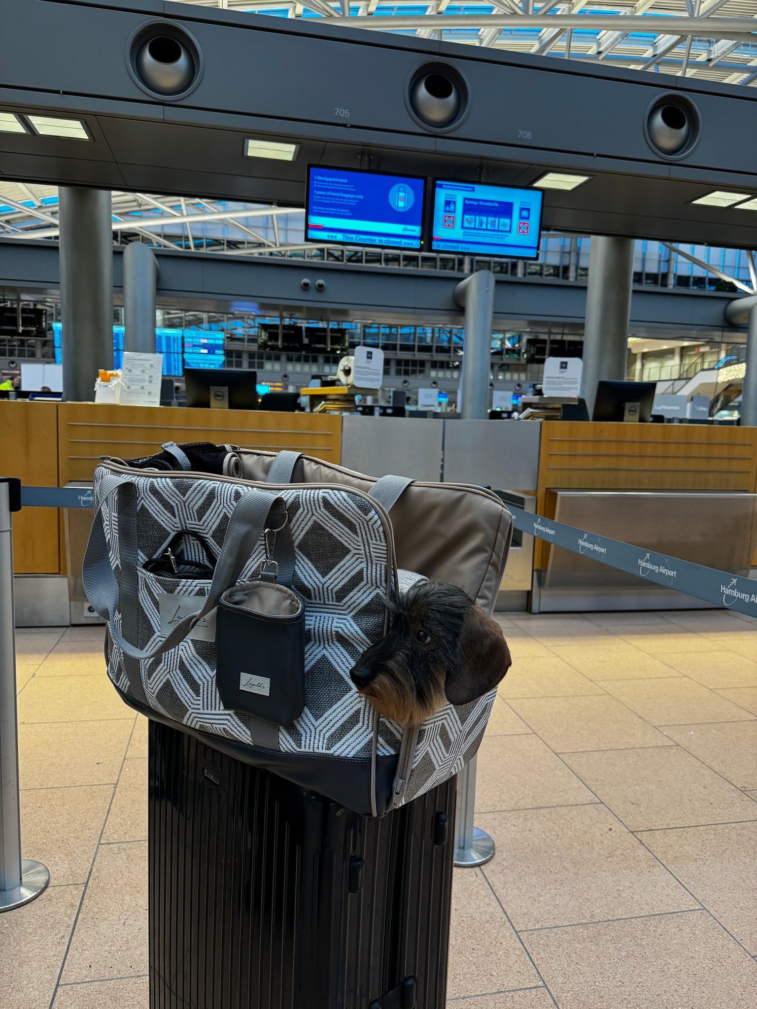 Transporttasche Hund