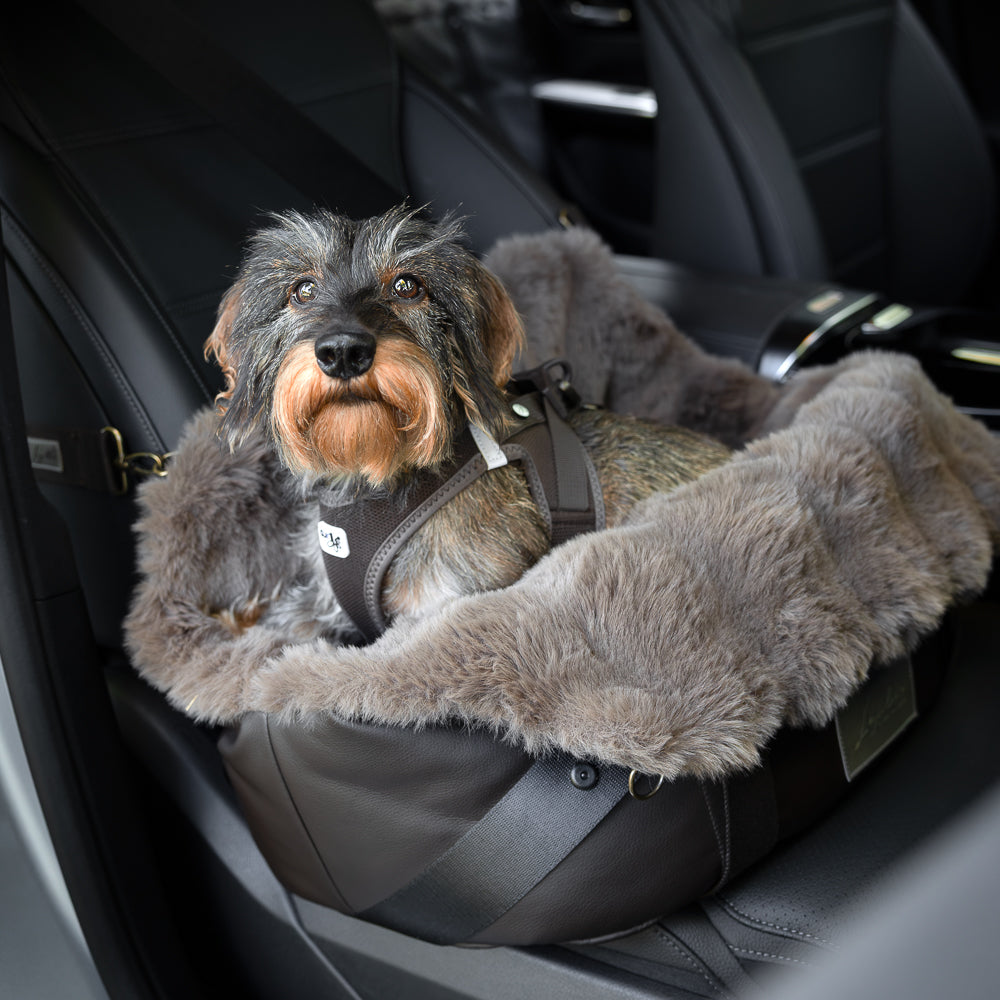 Autotasche Winter in braun. Moodbild mit Dackel im Auto [braun]