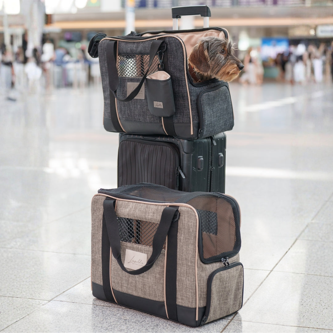 Hundetasche Flugzeug