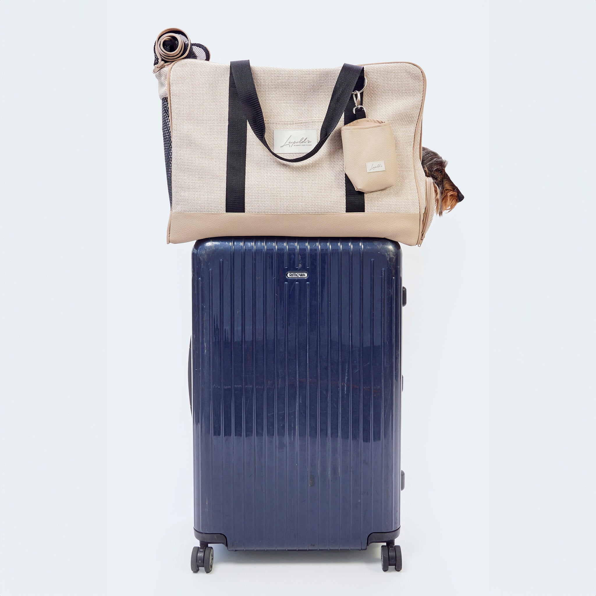 Flugtasche & Transporttasche für Hunde