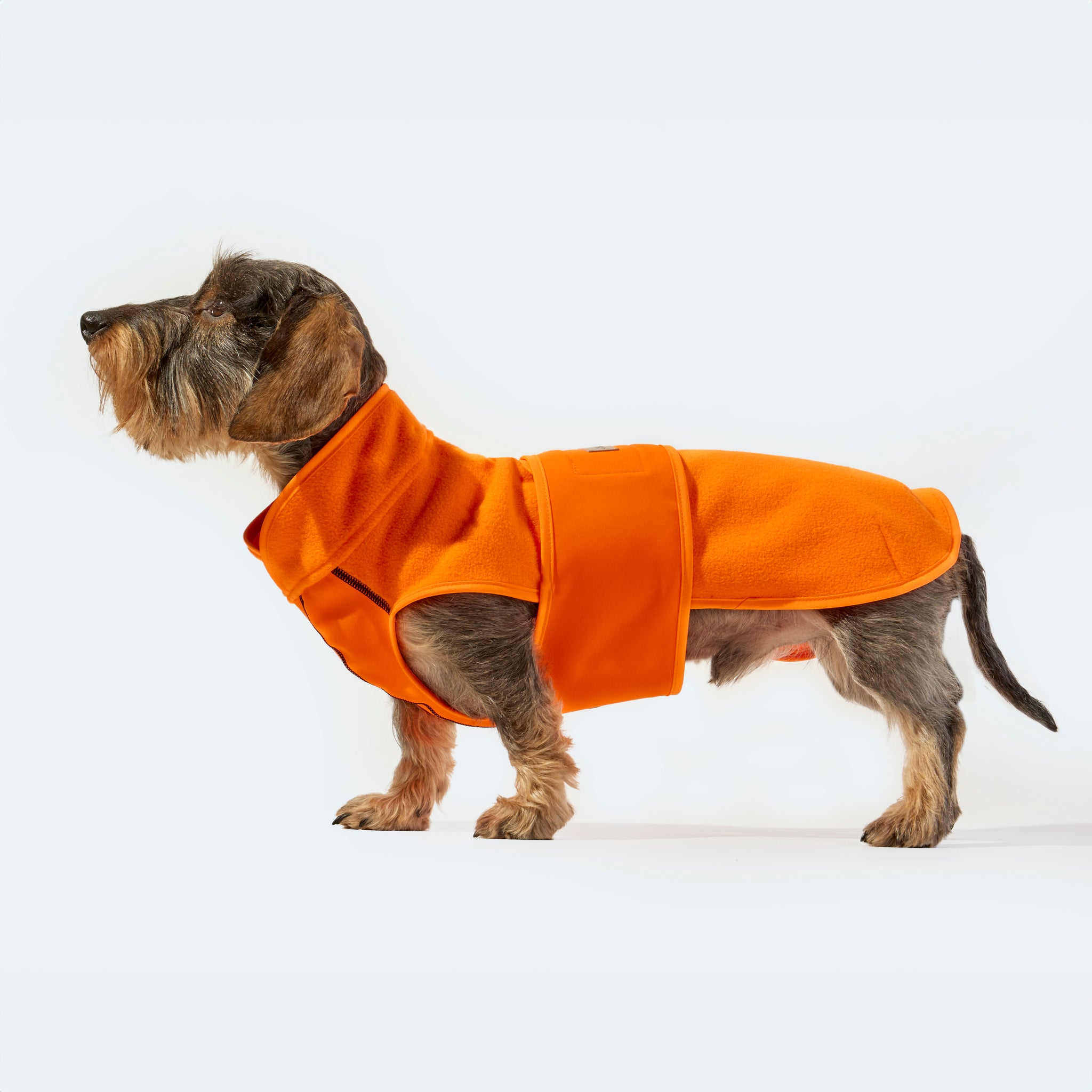 Hundemantel Fleece Leopold's     - von Leopold's kaufen bei leopolds-finest