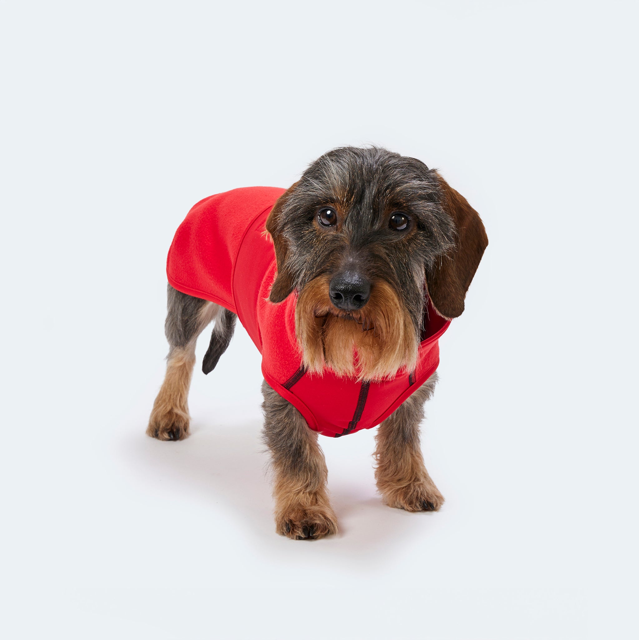 Hundemantel Fleece Leopold's     - von Leopold's kaufen bei leopolds-finest