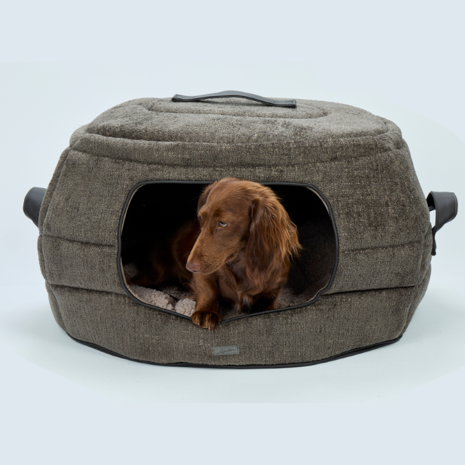 Black Friday | Leopold's Finest for dogs