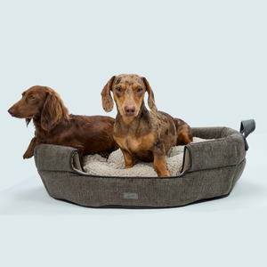 hundefutter josera Josera Hund Adult SensiPlus – zoo.de