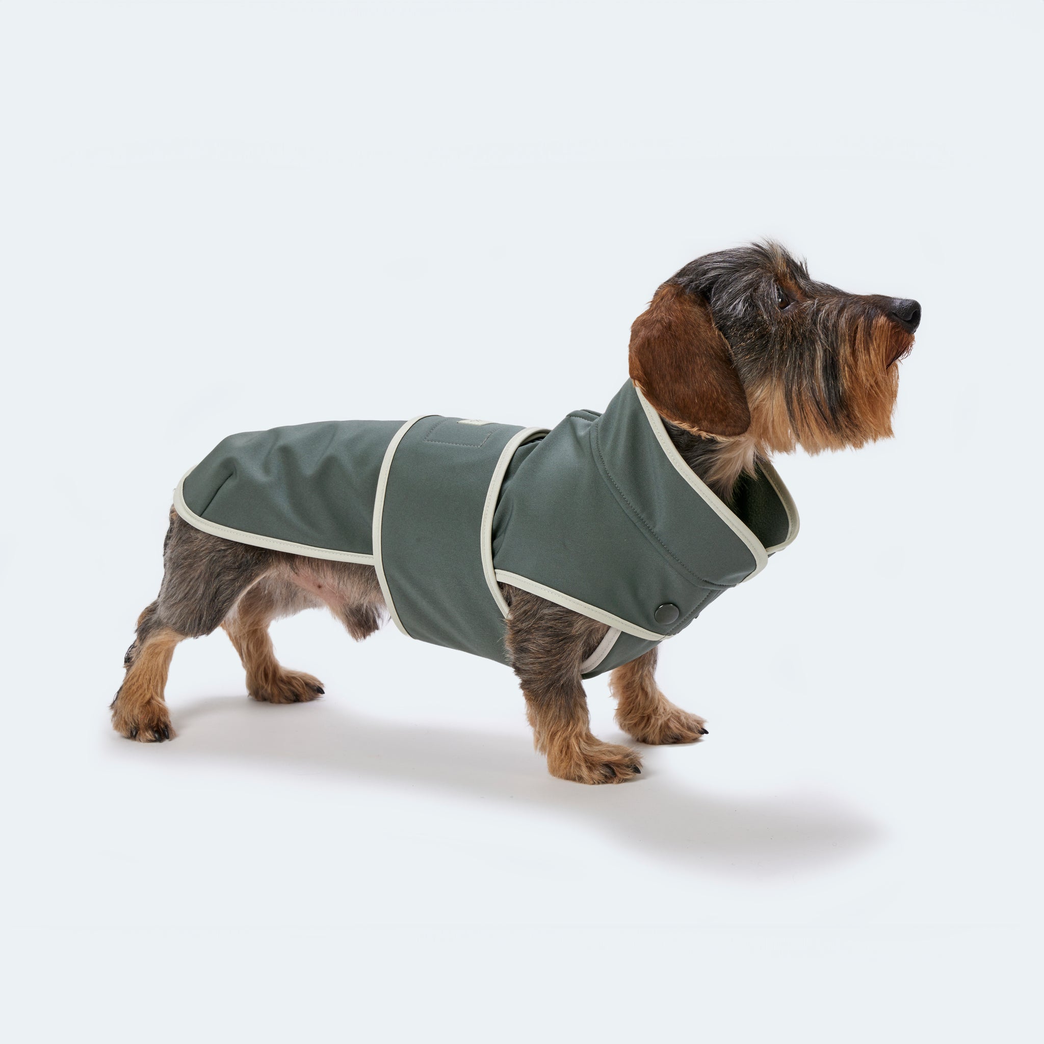 Hundemantel Dackel Softshell Handarbeit     - von Leopold's kaufen bei leopolds-finest