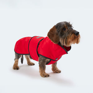 Hundemantel Dackel Softshell Handarbeit     - von Leopold's kaufen bei leopolds-finest