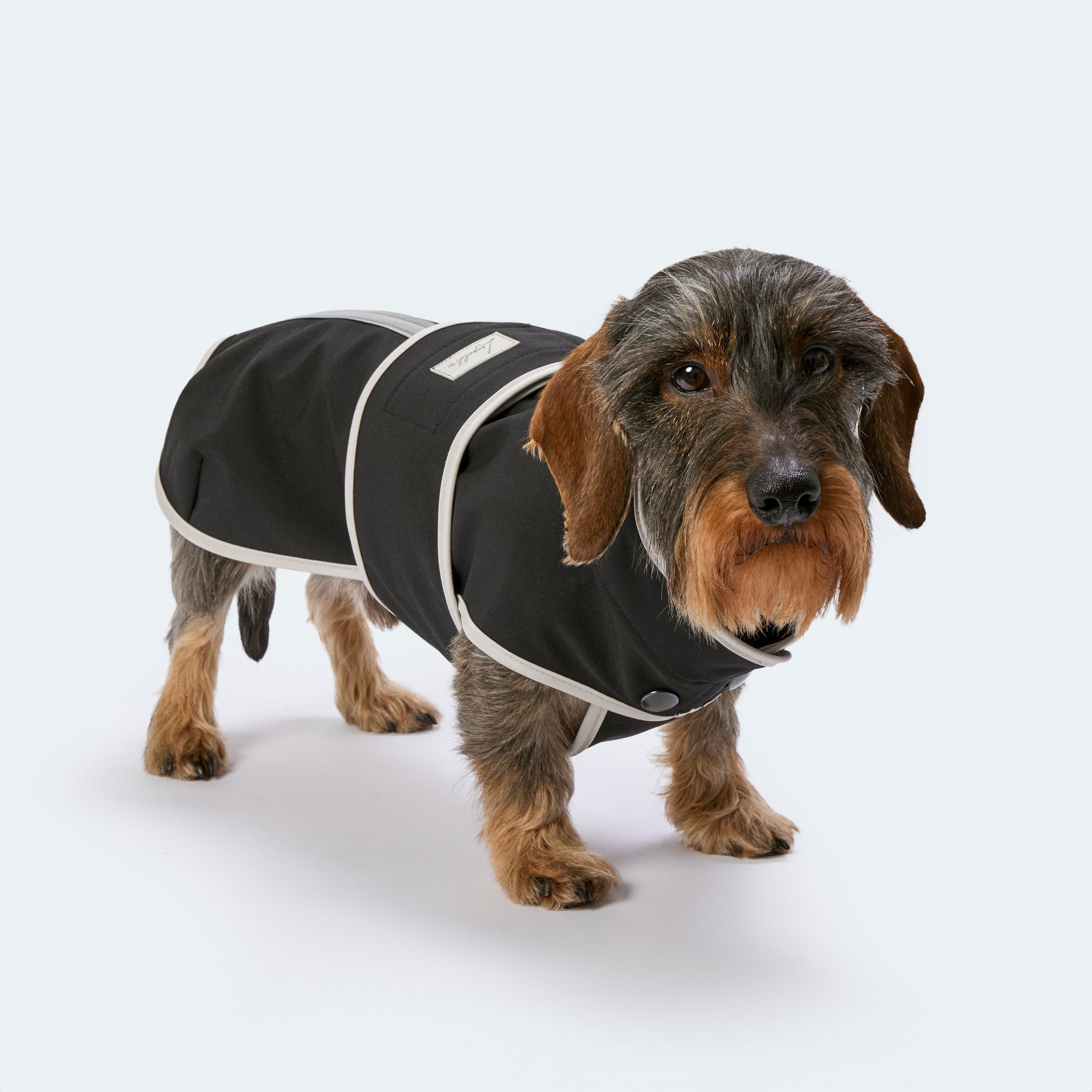 Hundemantel Dackel Softshell Handarbeit     - von Leopold's kaufen bei leopolds-finest