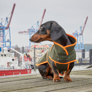 Hundemantel Dackel Softshell Handarbeit     - von Leopold's kaufen bei leopolds-finest