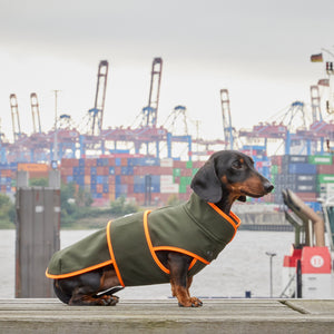 Hundemantel Dackel Softshell Handarbeit     - von Leopold's kaufen bei leopolds-finest