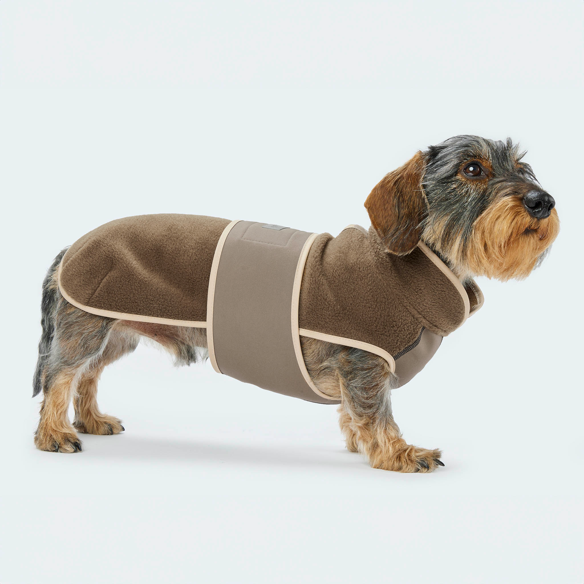 Leopold's Finest | Dackel trägt Hundemantel Fleece in Braun mit Softshellbrustlatz Ganzkörper für Dackel und kleine Hunde