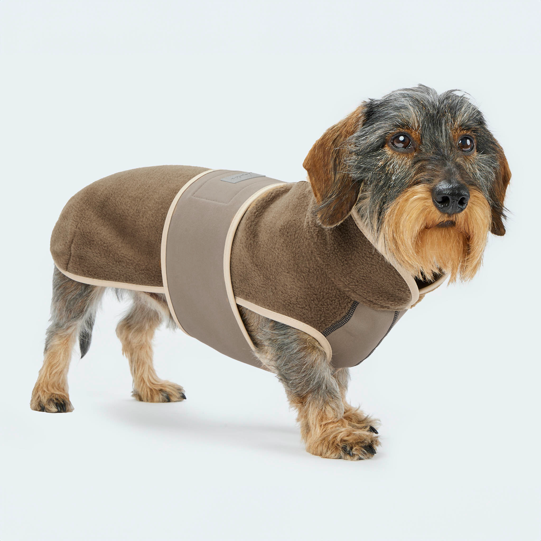 Leopold's Finest | Dackel trägt Hundemantel Fleece in Braun mit Softshellbrustlatz Seitenansicht für Dackel und kleine Hunde