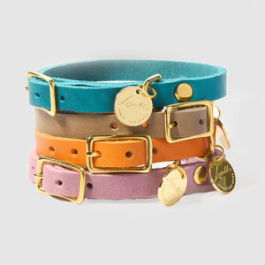 Hundehalsband Fettleder Leopold's     - von Leopold´s kaufen bei leopolds-finest