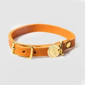 Hundehalsband Fettleder Leopold's     - von Leopold´s kaufen bei leopolds-finest