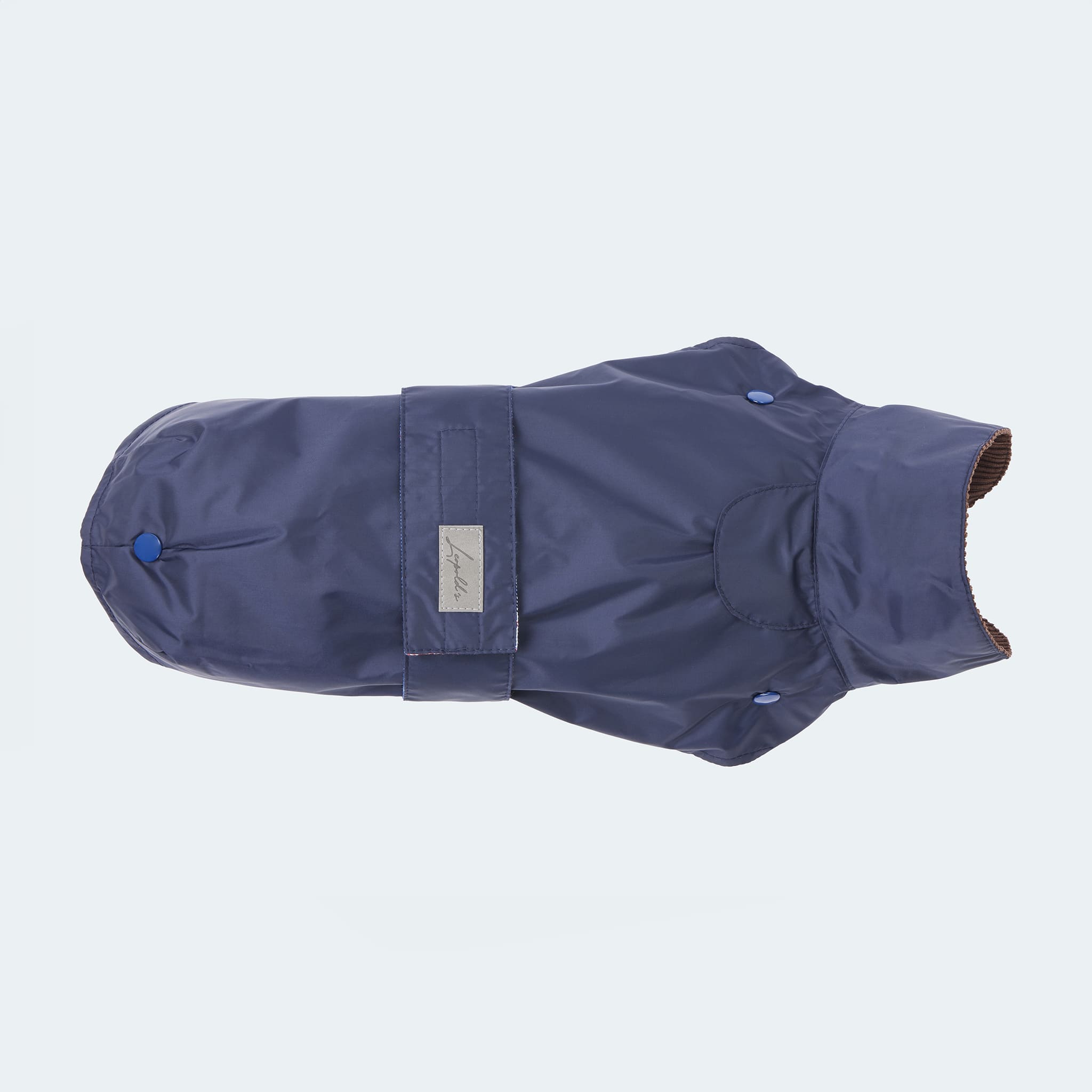 2 in 1 dog raincoat for dachshunds and small dogs