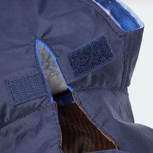 2 in 1 dog raincoat for dachshunds and small dogs