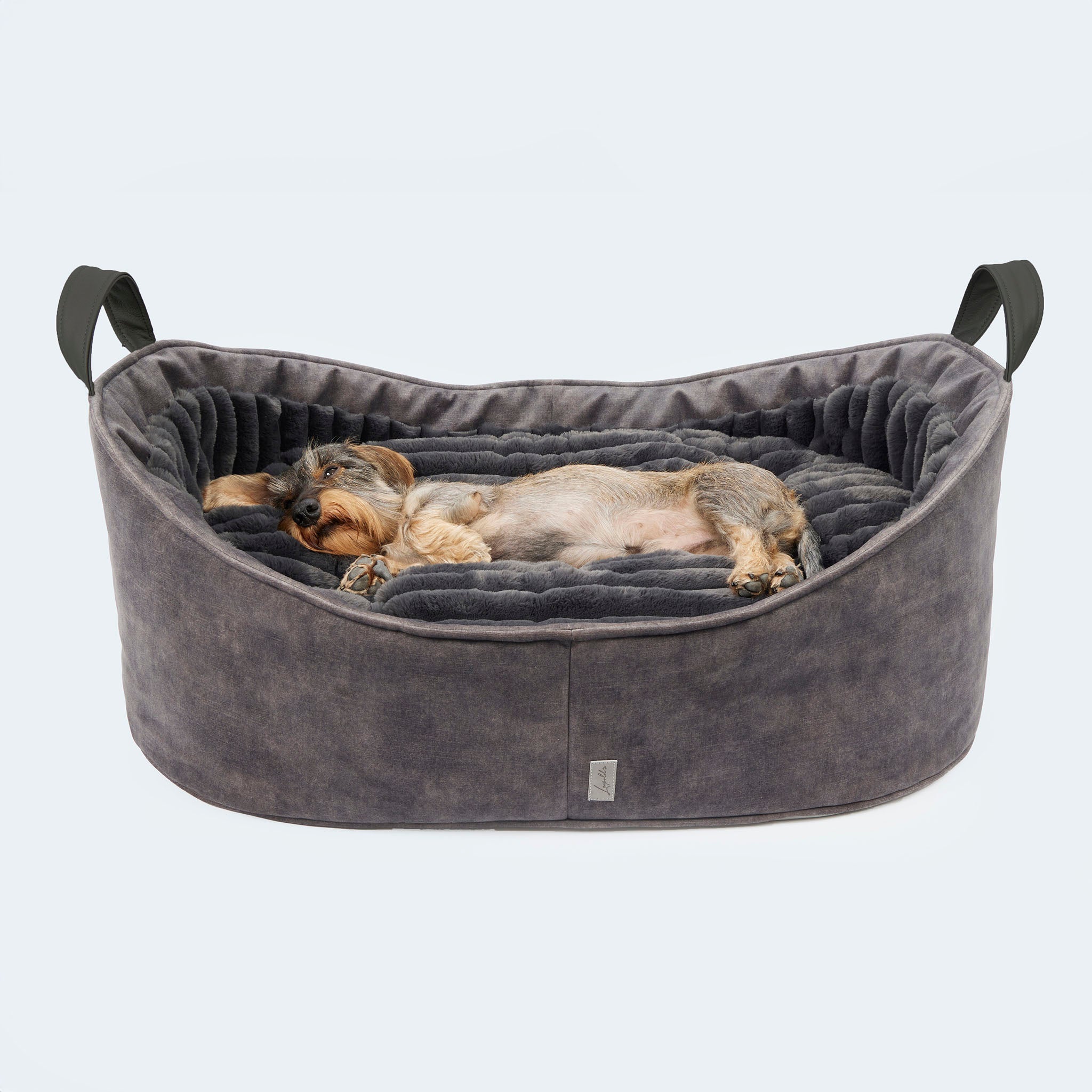 Waschbares Hundebett F r Dackel Und Kleine Hunde Leopold s Finest For waschbares-hundebett-f-r-dackel-und-kleine-hunde-leopold-s-finest-for