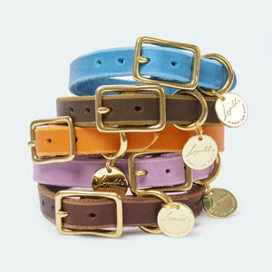 Rounded fat leather collar for dachshunds and small dogs