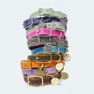 Rounded fat leather collar for dachshunds and small dogs