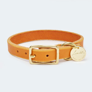 Leopolds-finest-abgerundetes-fettlederhalsband-orange-LF-FW-HAB-001-890_QV-min [orange-gold]