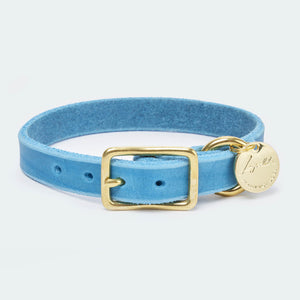 Leopolds-finest-abgerundetes-fettlederhalsband-tuerkis-LF-FW-HAB-001-450_QV-min [türkis-gold]