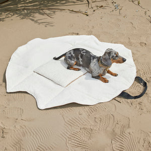 4 in 1 Travel Bag Allrounder – Hundetasche und Decke in einem