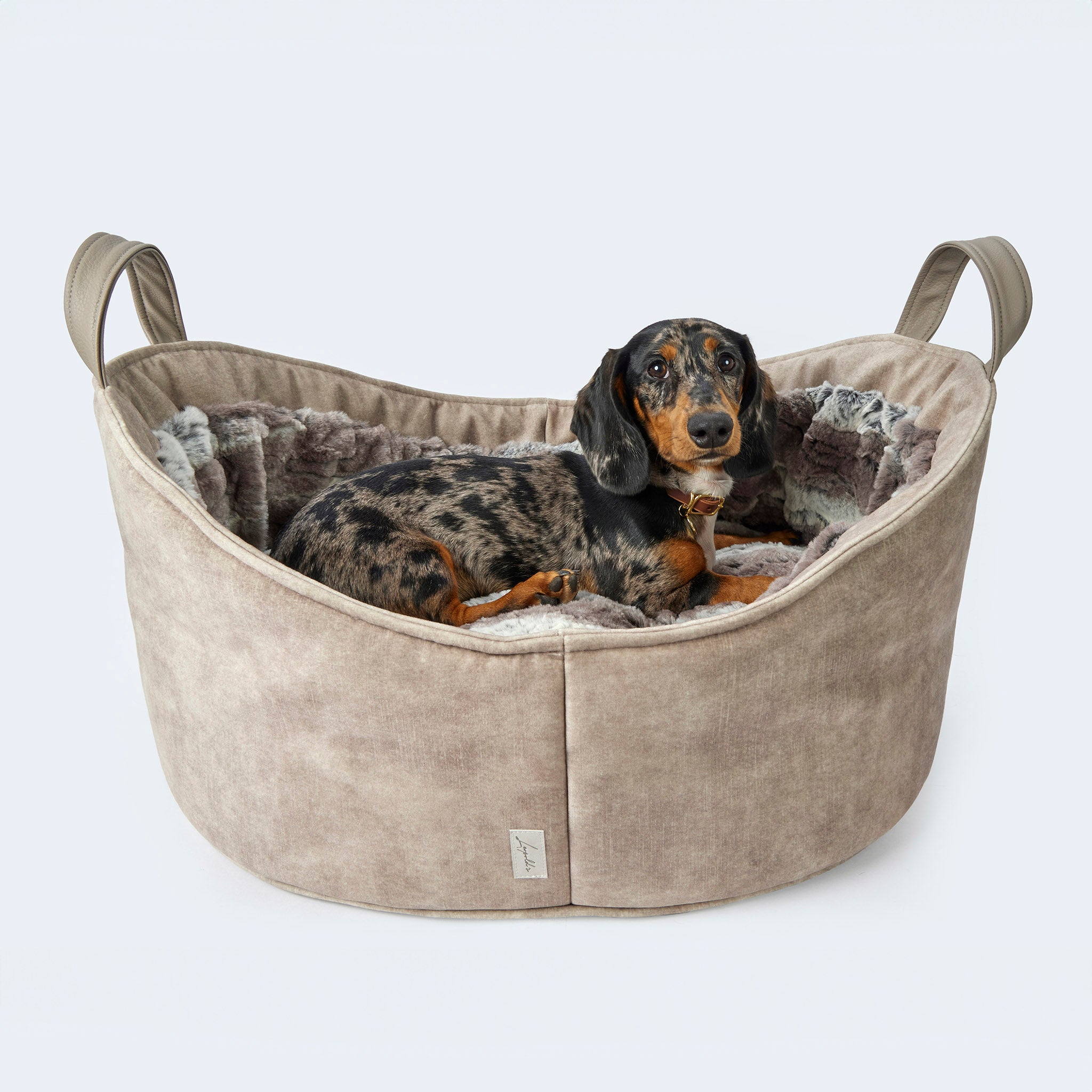 Ergonomisches Hundebett für kleine Hunde luchs beige