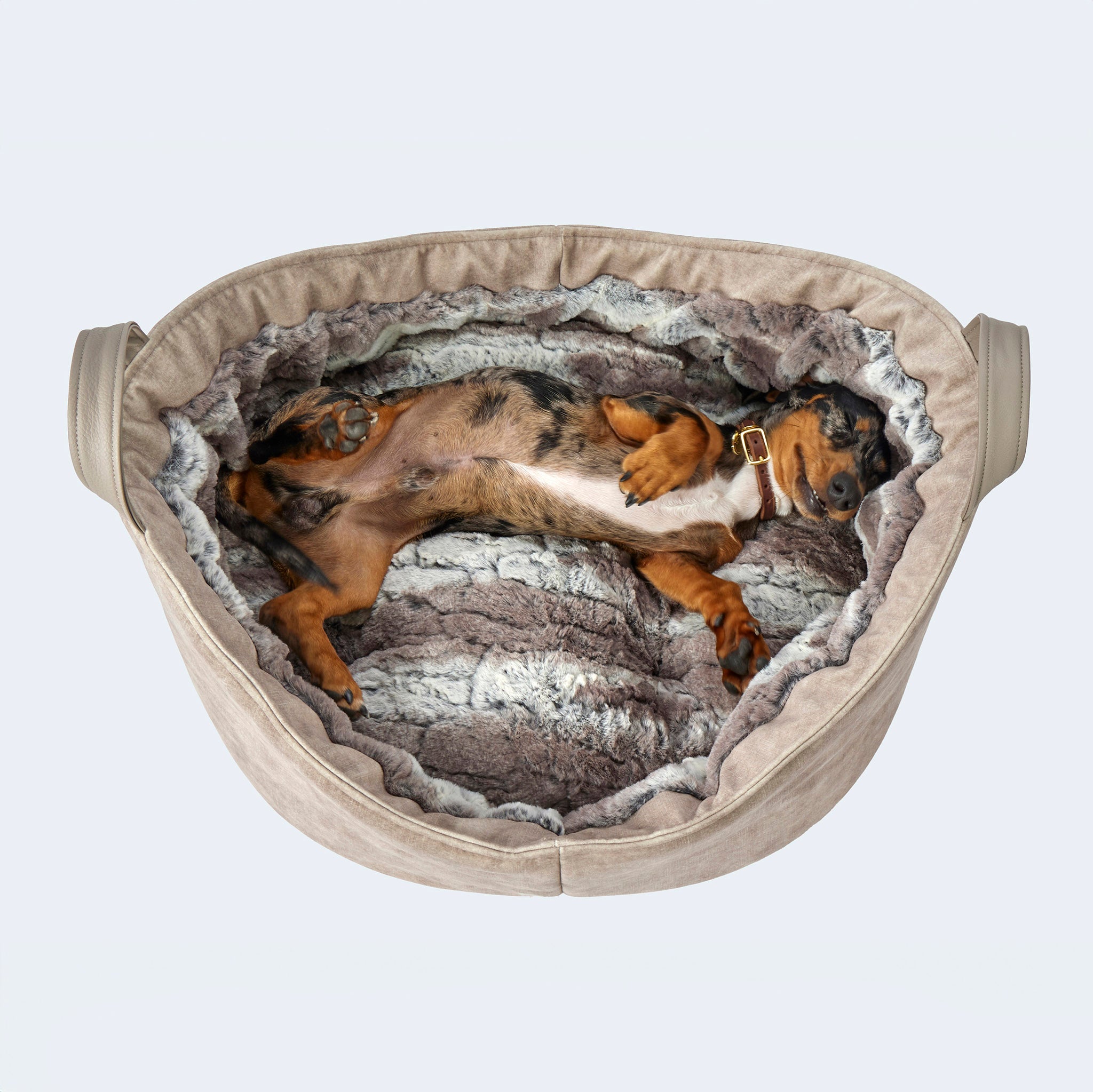 Cosy Dog Bed Velvet - Dog bed in lynx look