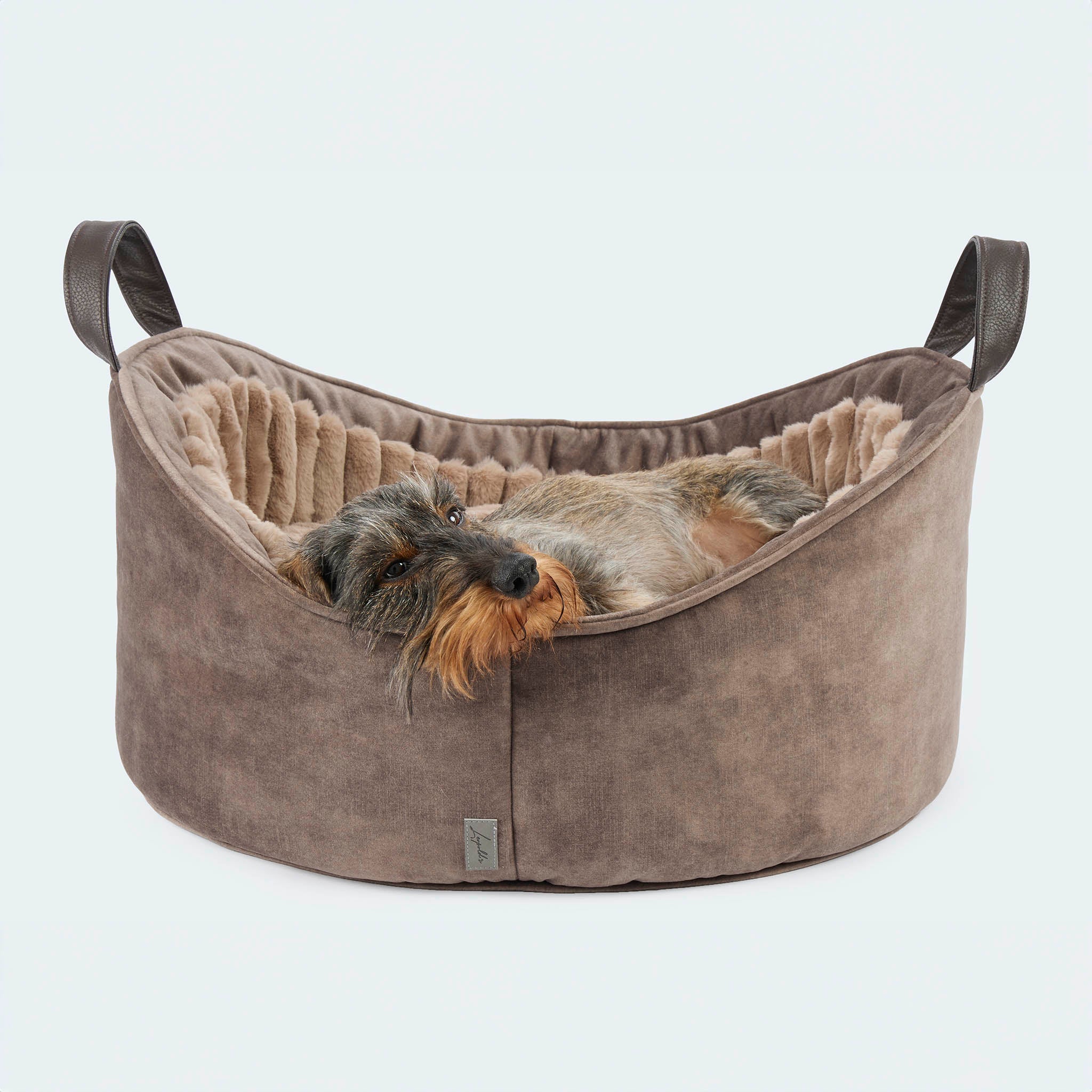 Weiner dog bed hotsell
