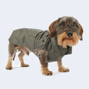 Regen- und Wintermantel für Dackel und kleine Hunde