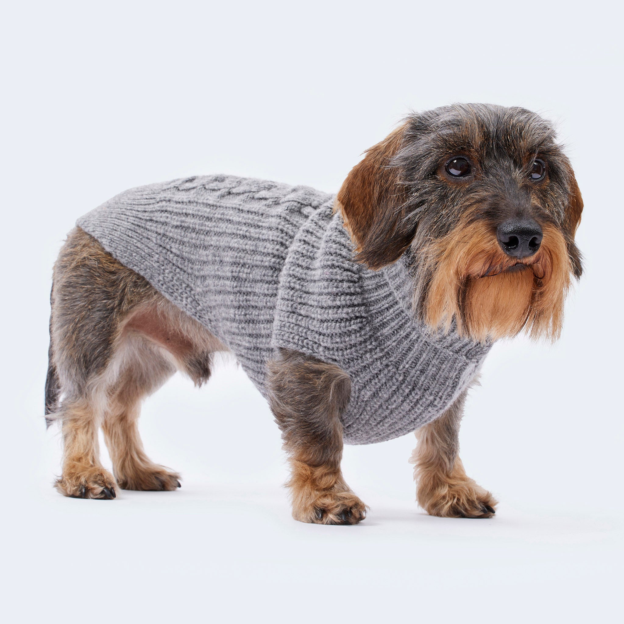 Haustier-Pullover Mit Kaninchen-Motiv – Wärmender Strickpulli Für Hunde & Katzen | Mit Taschen & Rundhals