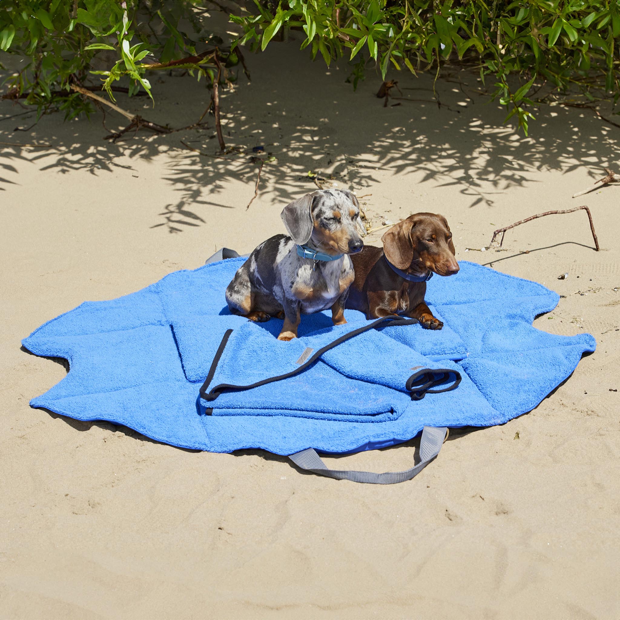 4 in 1 Travel Bag Allrounder – Hundetasche und Decke in einem [royal]