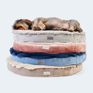 Orthopädische Hundebetten