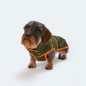 Hundemantel Dackel Softshell Handarbeit     - von Leopold's kaufen bei leopolds-finest