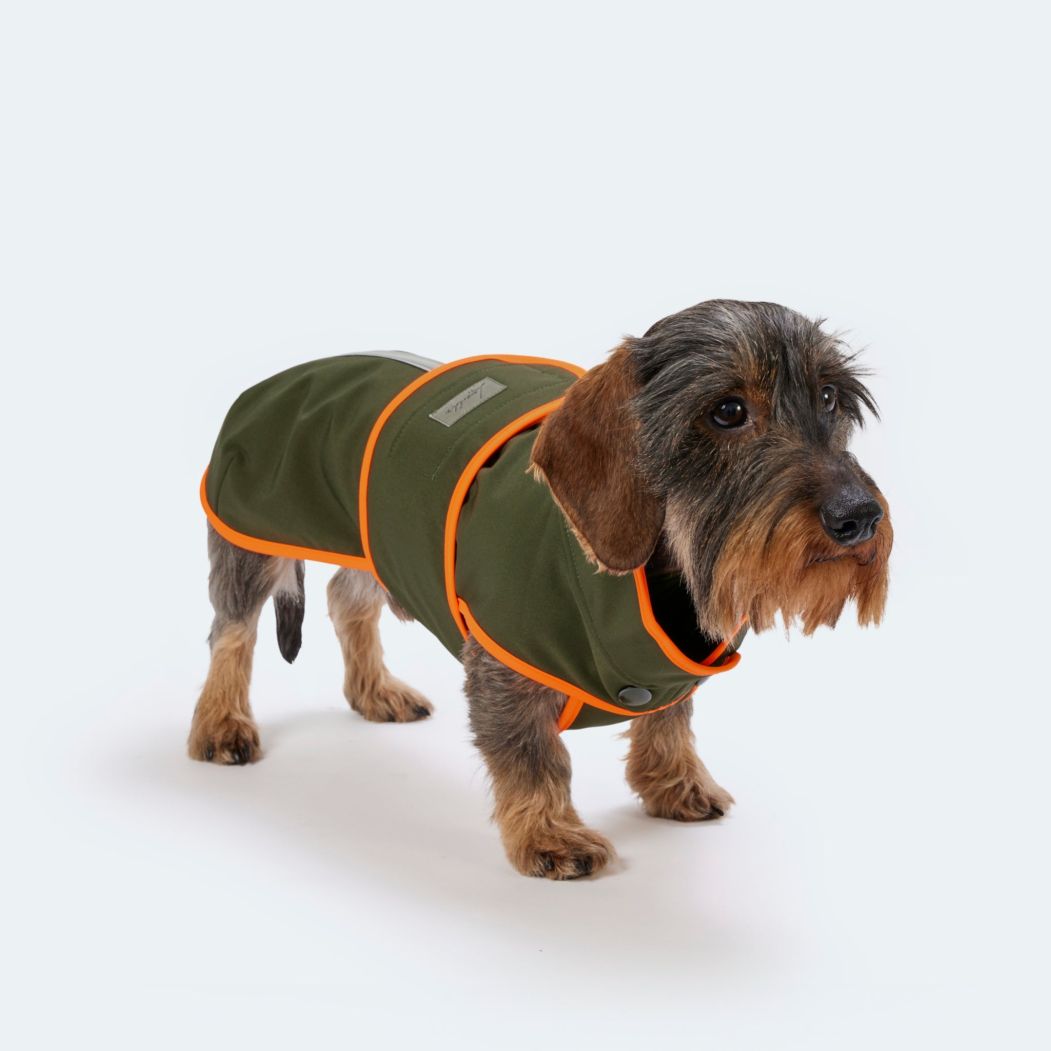 Hundemantel Dackel Softshell Handarbeit     - von Leopold's kaufen bei leopolds-finest