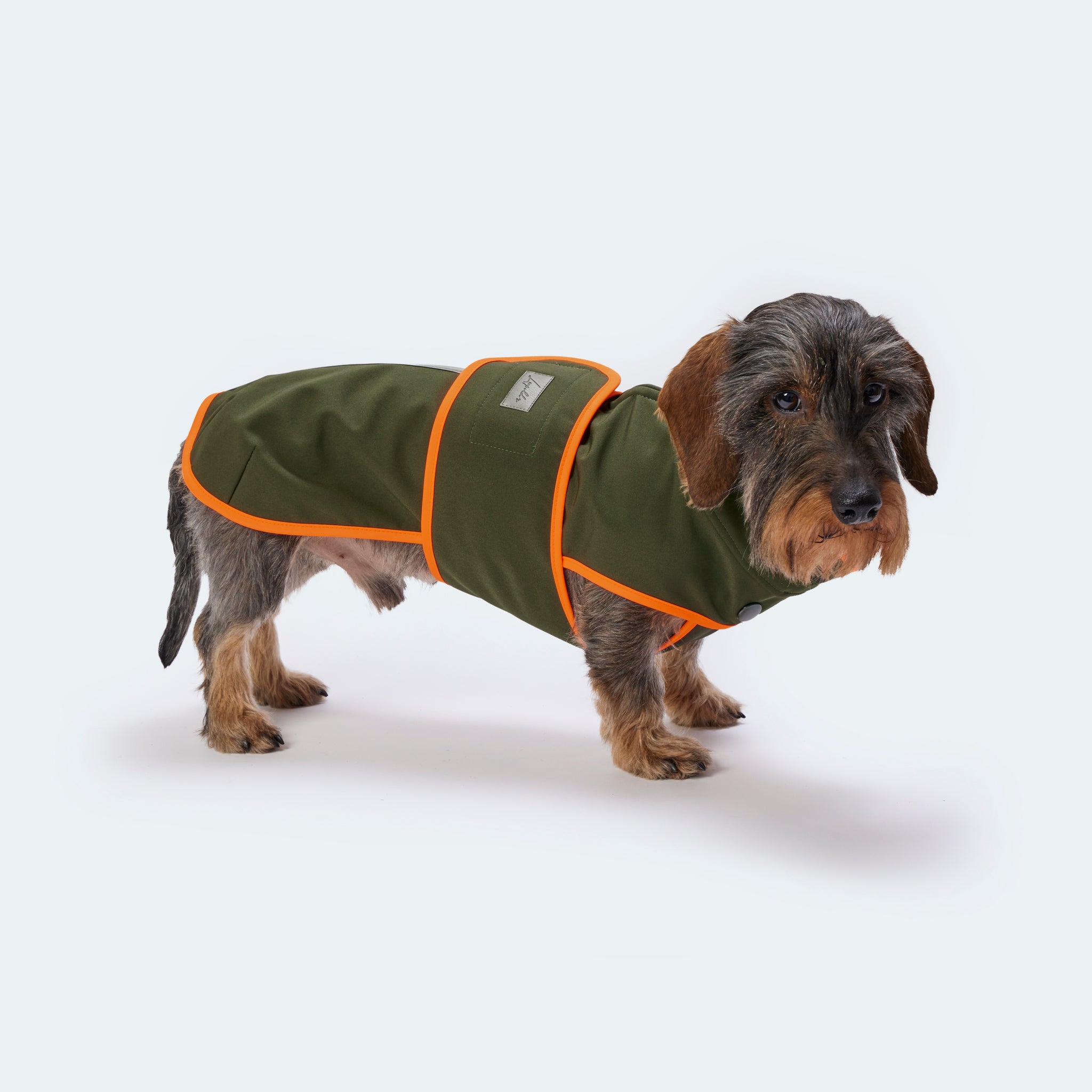 Hundemantel Dackel Softshell Handarbeit     - von Leopold's kaufen bei leopolds-finest