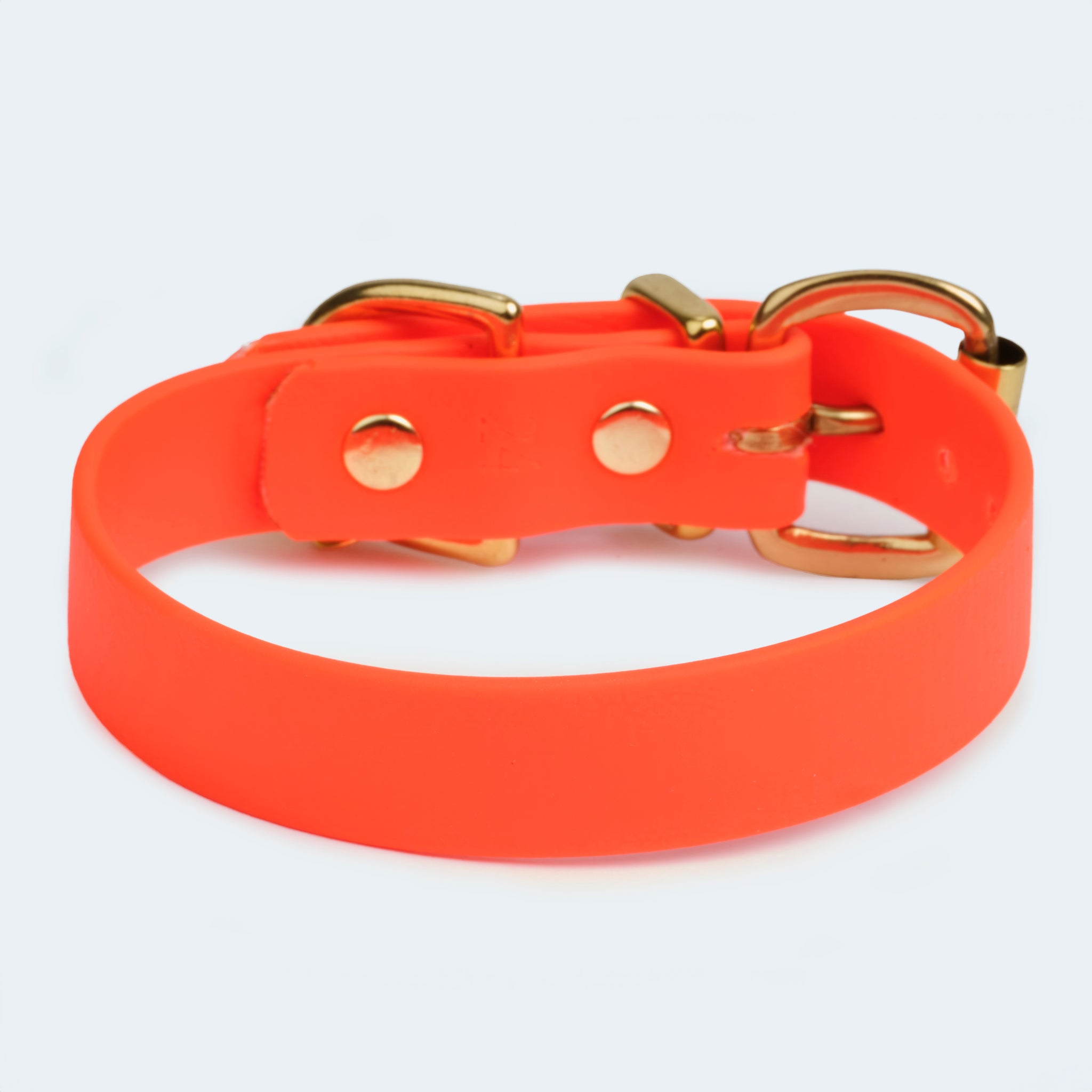 Hundehalsband Adventure in orange Rückseite [Orange]