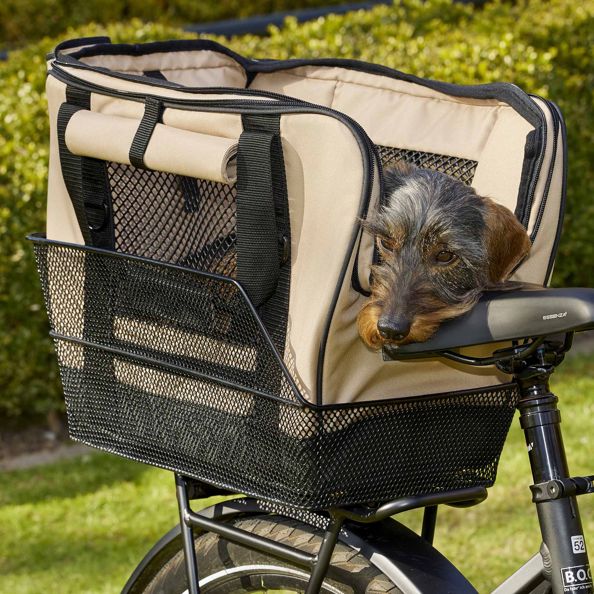 Fahrradtasche für Hunde in beige im Fahrradkorb mit Dackel alle Seiten offen.