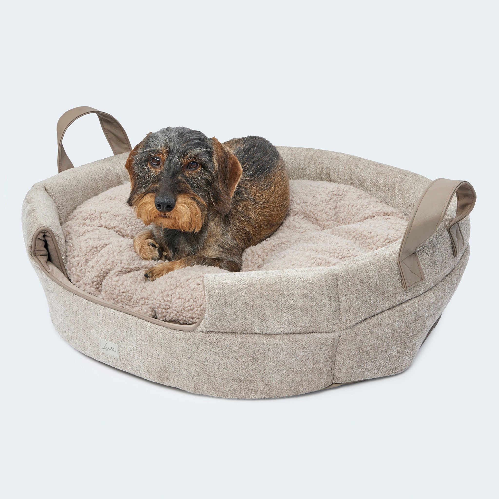 Leopold's Finest | Dackel in 2-in-1 Hundehöhle & Hundebett in beige. Für Dackel und kleine Hunde. Ansicht von vorne-